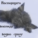 http://cs9269.vkontakte.ru/u23612189/122824544/x_6dbfb39e.jpg